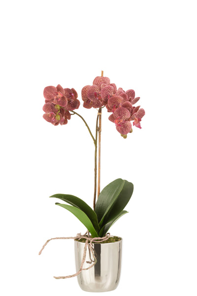 Orchidée en Pot Plastique/Ciment Rose Foncé/Argenté